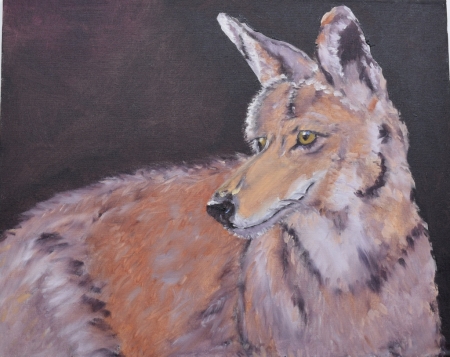 the roan by artist Andrea L. Wolf